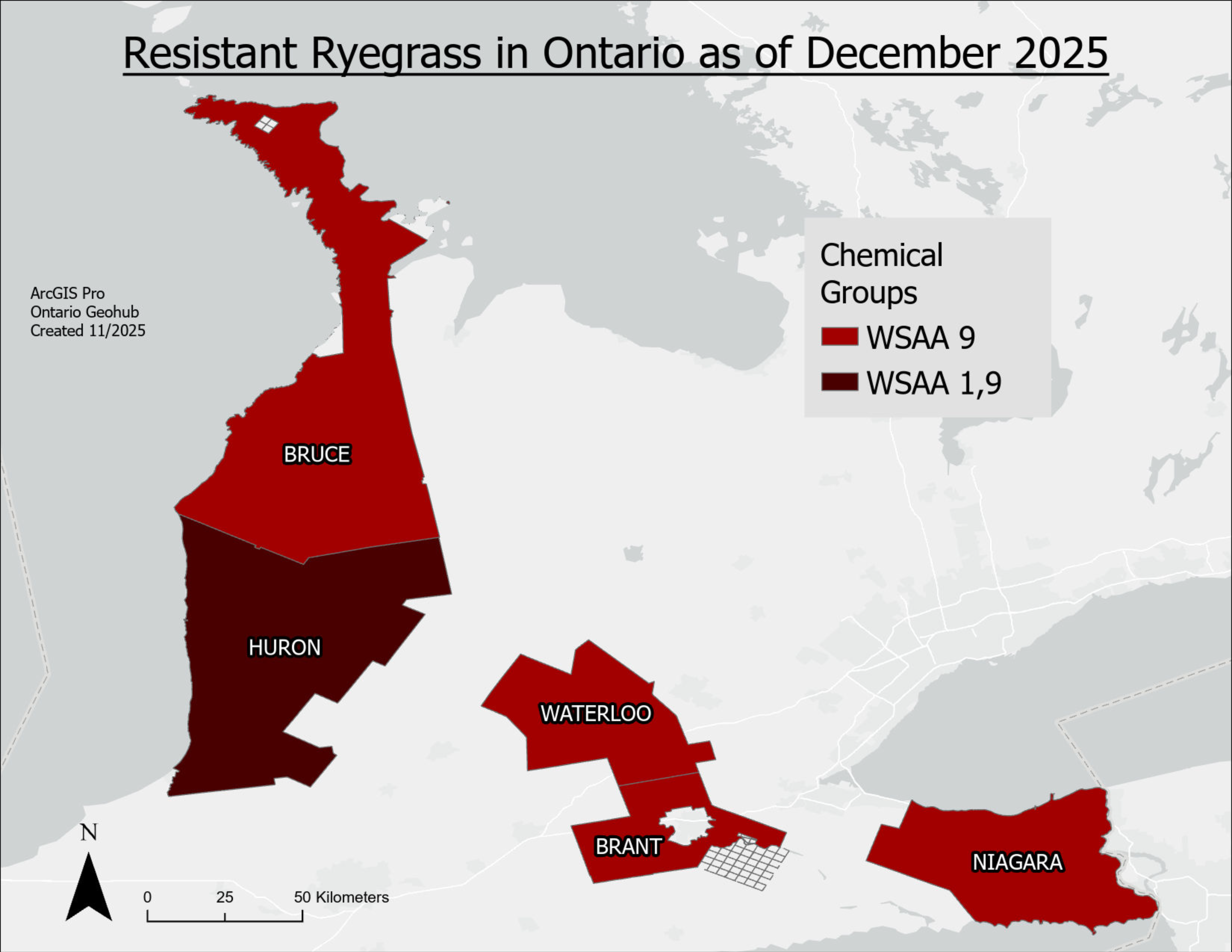 A map of Ontario with counties containing herbicide resistant ryegrass filled in.