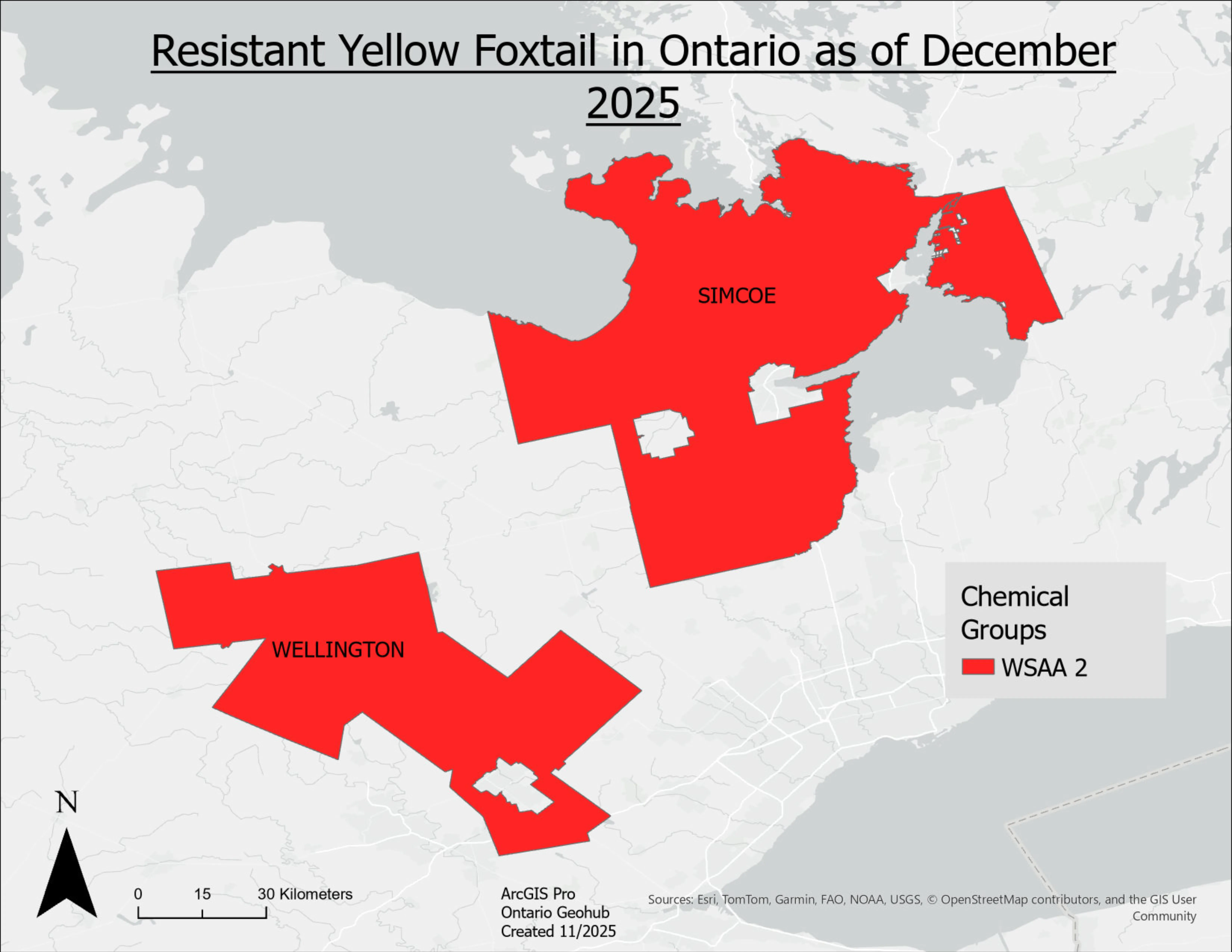 A map of Ontario with counties containing herbicide resistant yellow foxtail filled in.