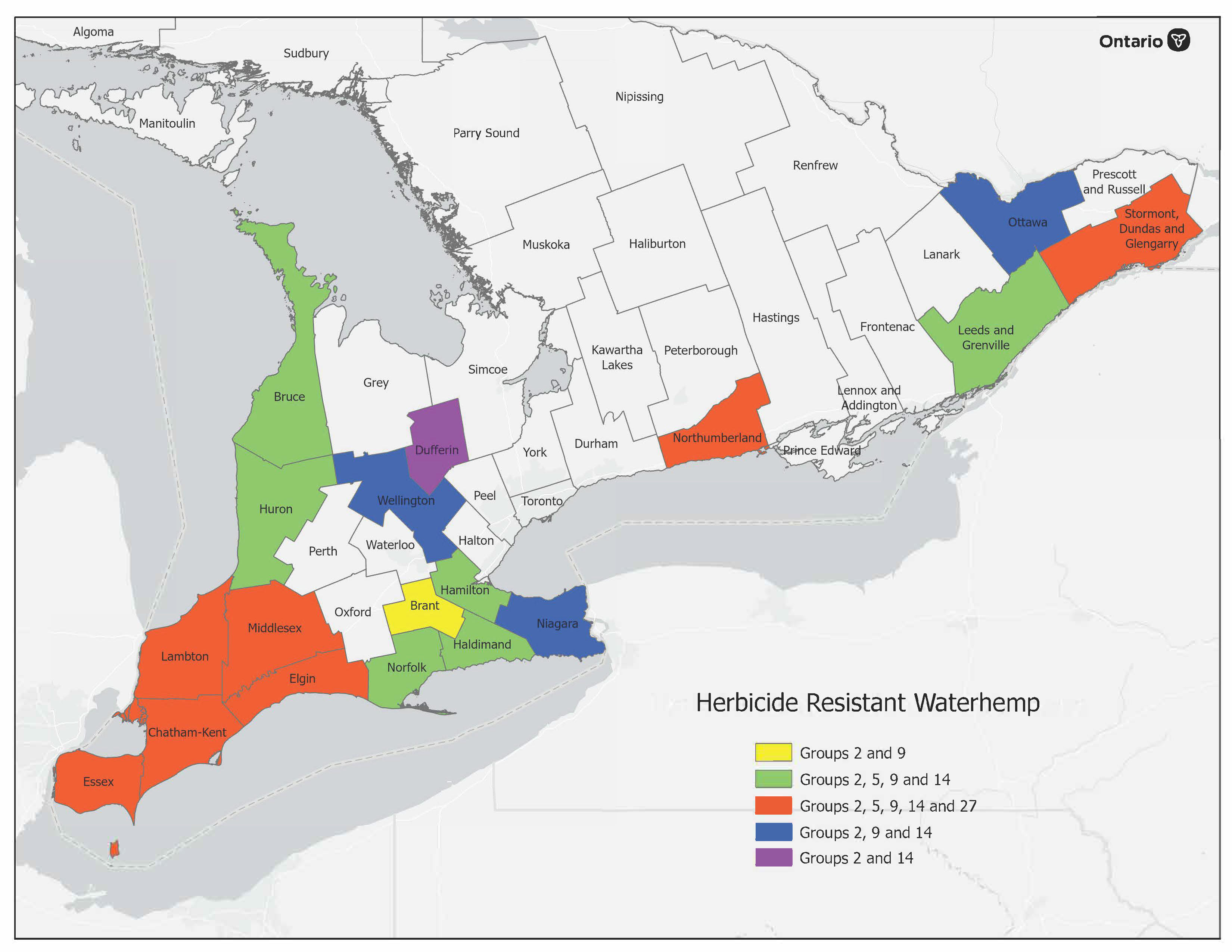Ontario counties where herbicide resistant waterhemp have been identified. 18 counties have herbicide resistant waterhemp. All populations of waterhemp are resistant to multiple herbicide groups.