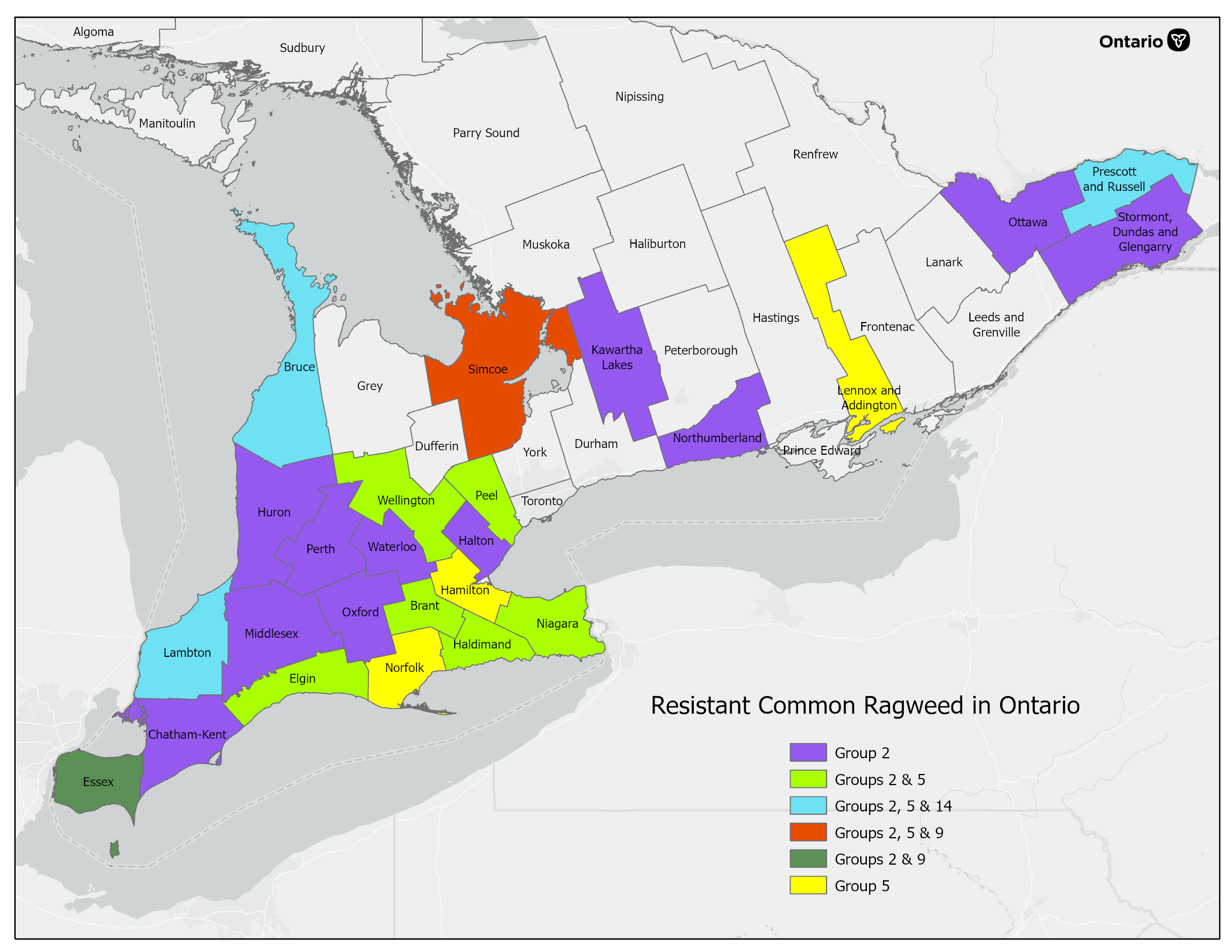 Ontario counties where herbicide resistant common ragweed have been identified. 25 counties have herbicide resistant common ragweed.